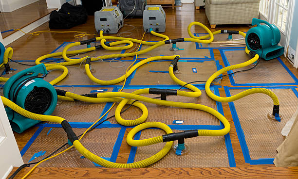 Professional Water Extraction technician working in Alexandria, SD